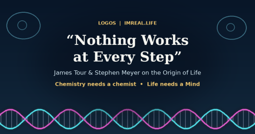 "Nothing Works at Every Step": James Tour and Stephen Meyer on the Origin of Life